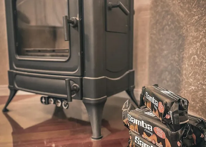 Feeling Good In Koblenz (Rhineland-Palatinate)